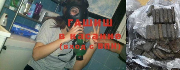 молекула духа Арсеньев