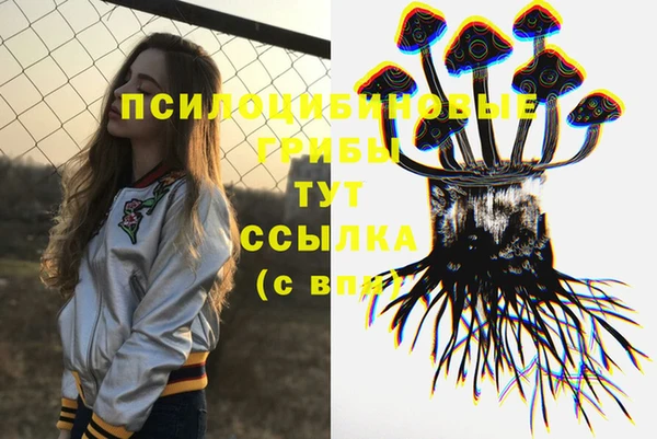 метамфетамин Аркадак