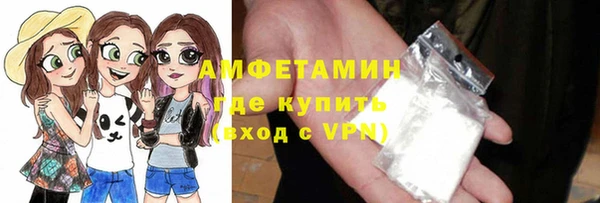 молекула духа Арсеньев