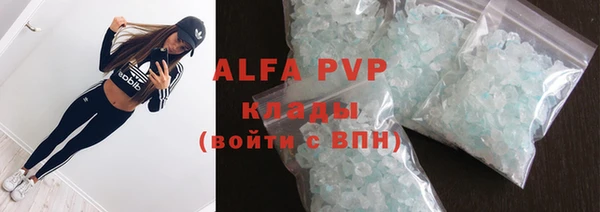 молекула духа Арсеньев