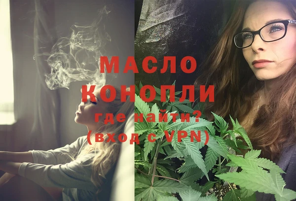 молекула духа Арсеньев