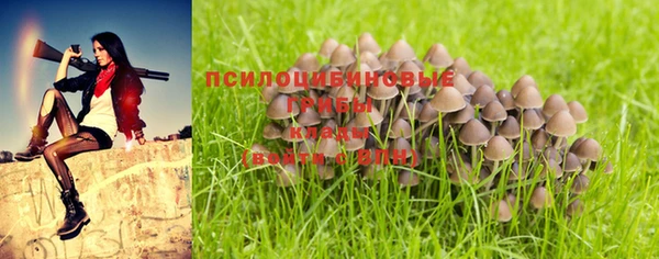 метамфетамин Аркадак