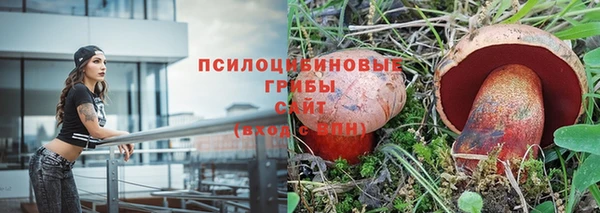 молекула духа Арсеньев